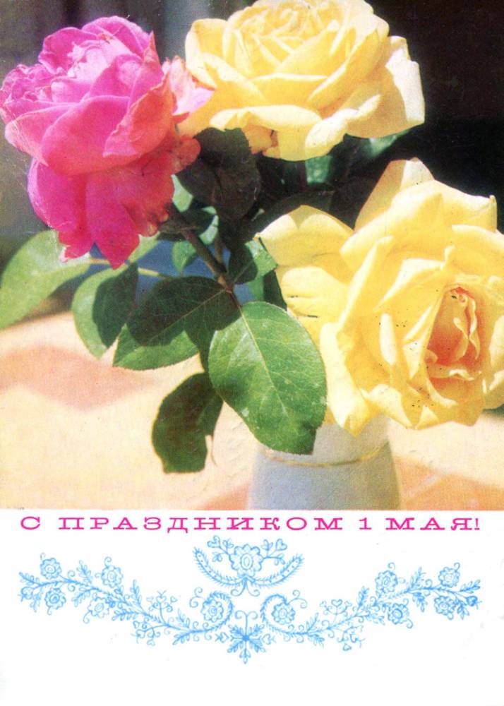 С праздником 1 мая, советская открытка, желтые и красные розы