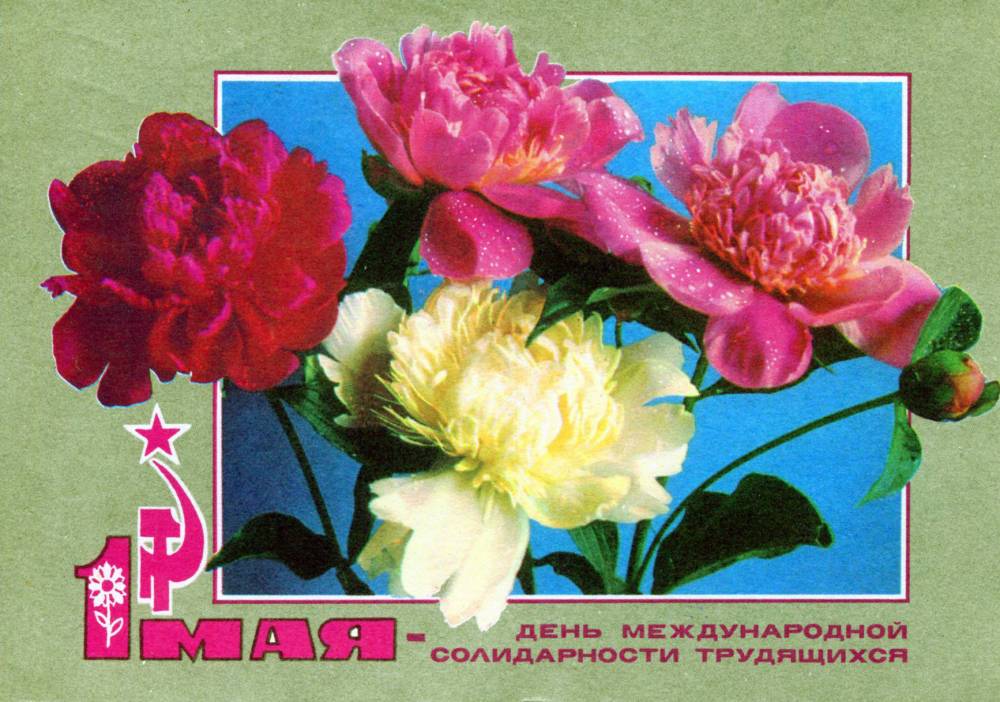 С праздником 1 мая, советская открытка, цветы, 1972