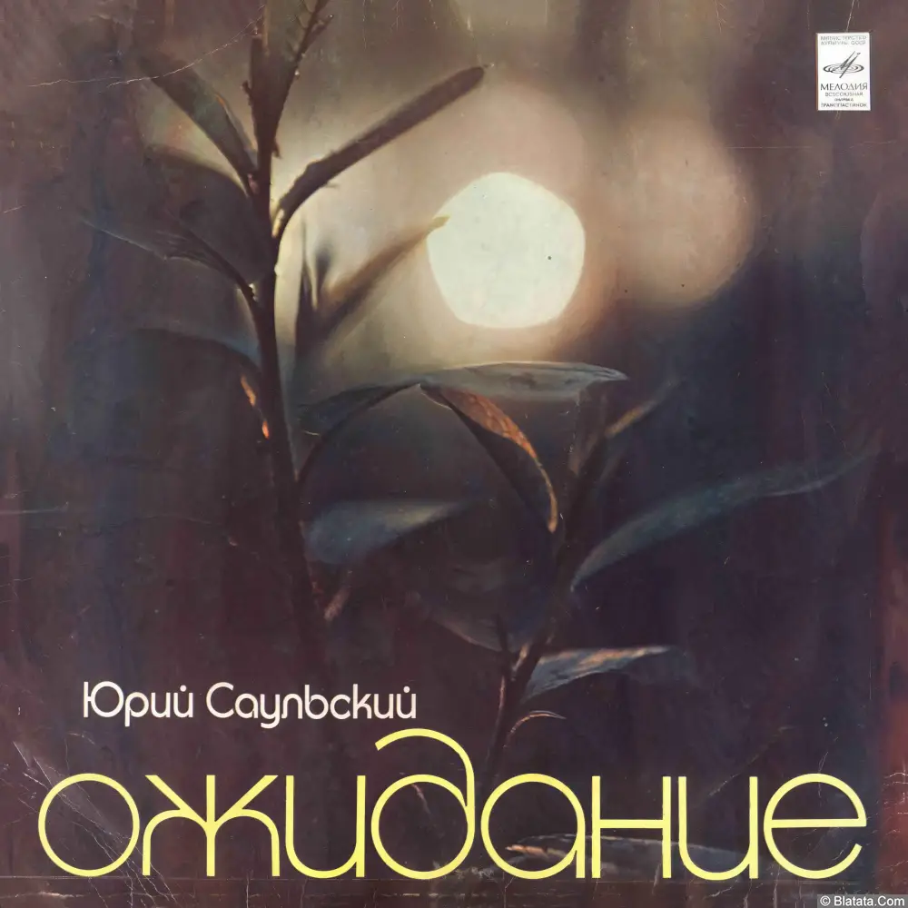 Юрий Саульский &lrm;&ndash; Ожидание (1981)