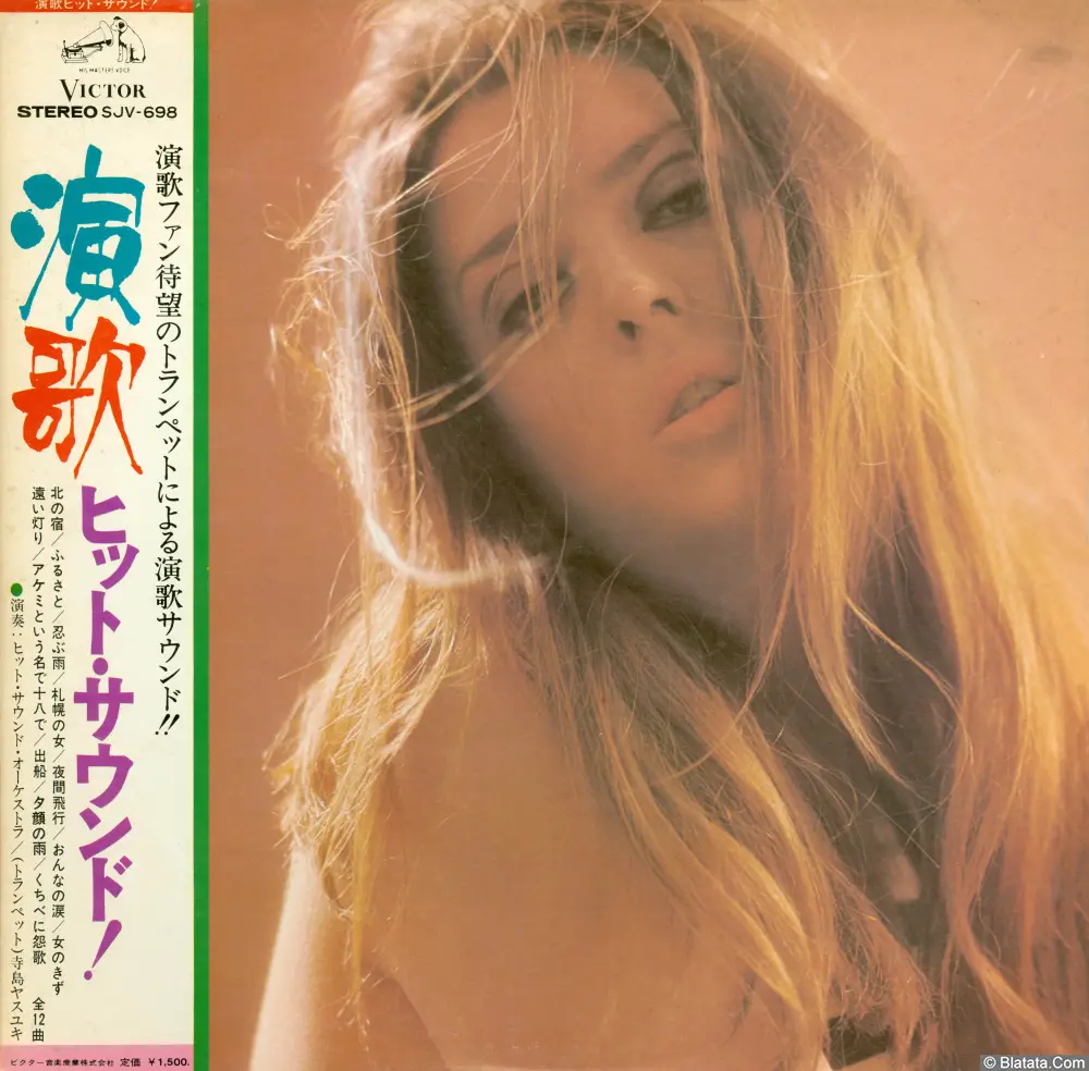 Hit Sound Orchestra - Enka hit sound (1973) SJV-698