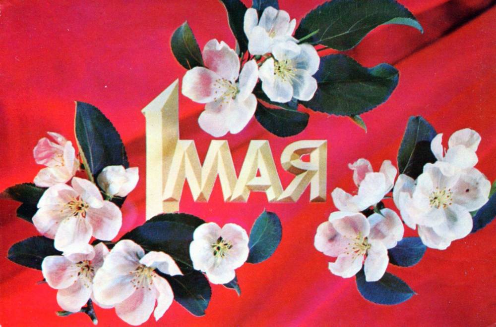 1 мая, советская открытка, отпечатано МГТ, яблони в цвету