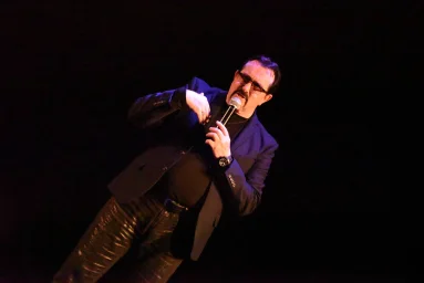 Владимир Ждамиров на сцене