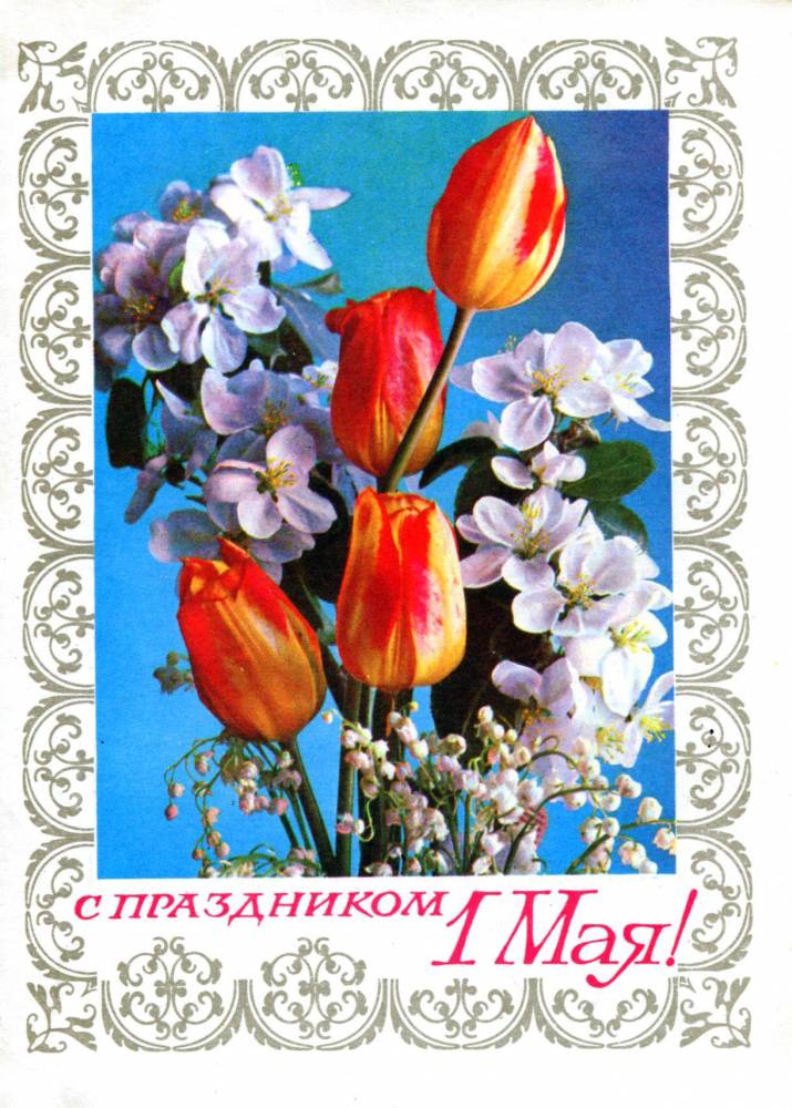 С праздником 1 мая, советская открытка, красные тюльпаны и яблоневый цвет