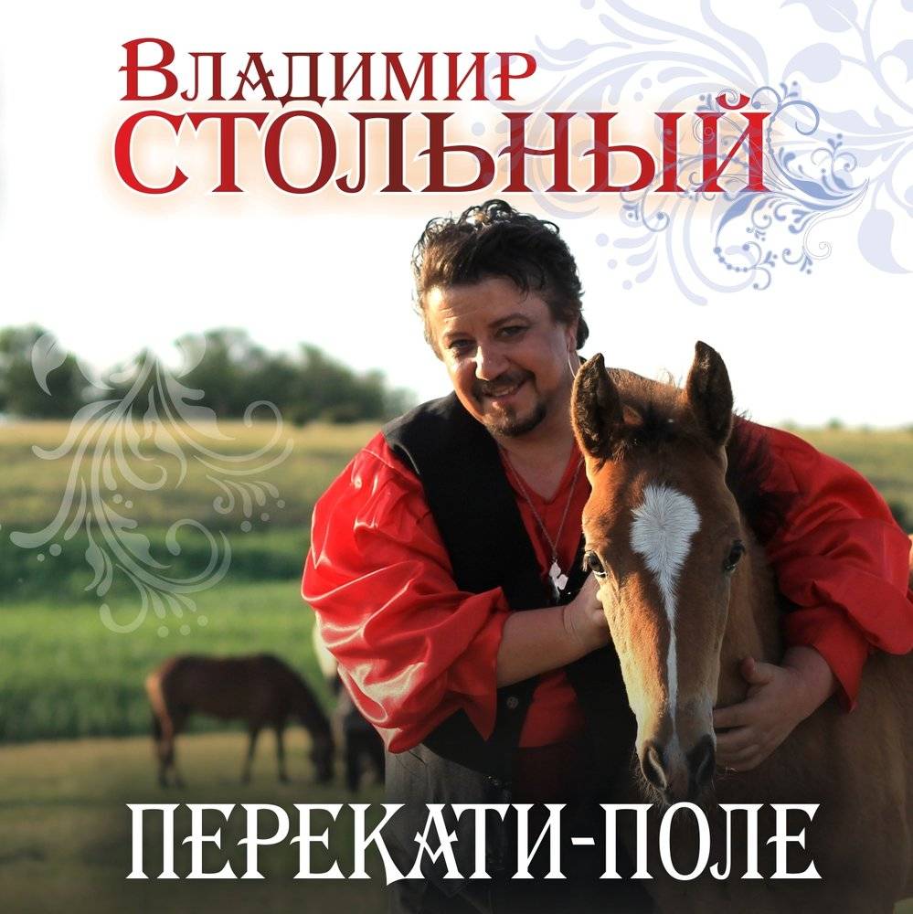 Владимир Стольный «Перекати-поле», 2013