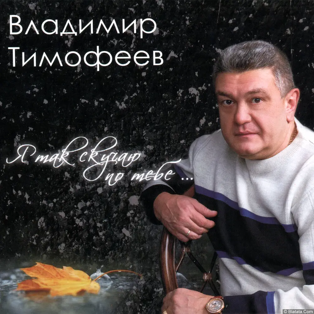 Владимир Тимофеев - Я так скучаю по тебе (2023)