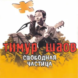 Тимур Шаов «Свободная частица», 2006 г.