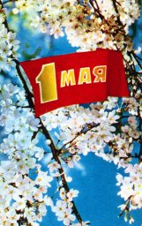 С праздником 1 мая, советская открытка, яблони в цвету и флаг, 1973