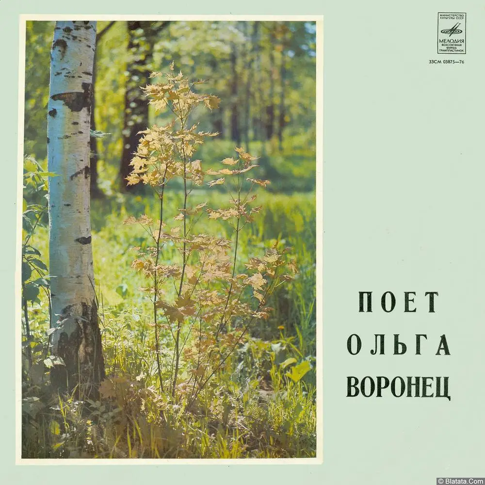 Ольга Воронец - Зачем вы, девочки, красивых любите (1973)