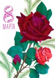 С днем 8 марта, советская открытка. Художник В. Лисецкий. 1980 год. Розы