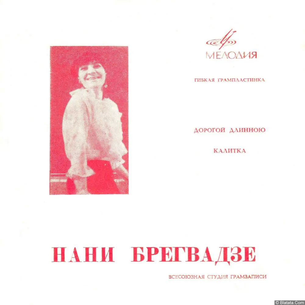 Нани Брегвадзе - Дорогой длинною (1969)