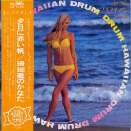 Arita Shintaro - Drum Hawaiian Drum (1971) GW-5186