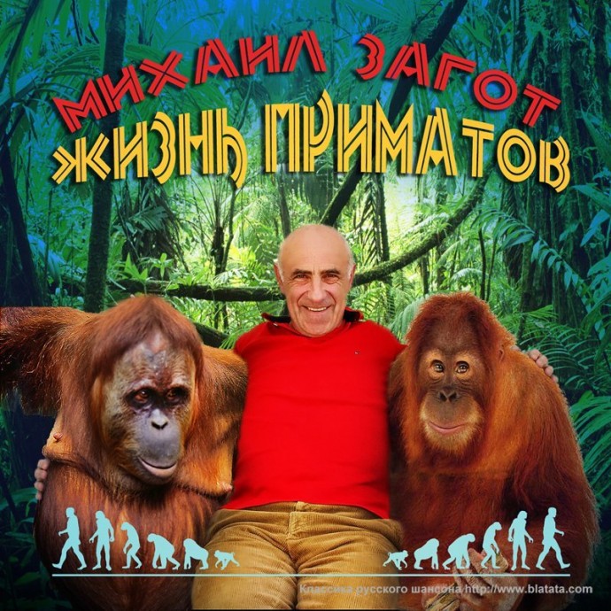 Михаил Загот «Жизнь приматов», 2012