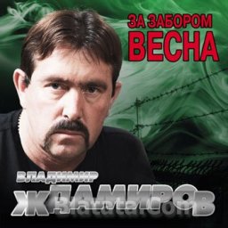 Экс-солист «Бутырки» Владимир Ждамиров выпускает сольный альбом